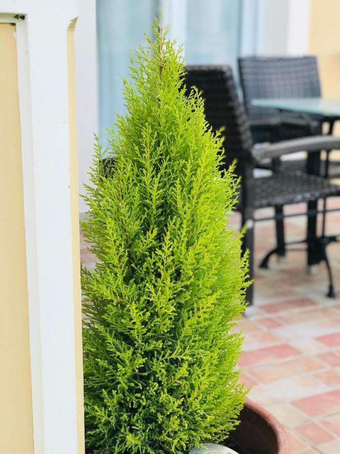 L'Eremo Luxury Apartments Róda Kültér fotó
